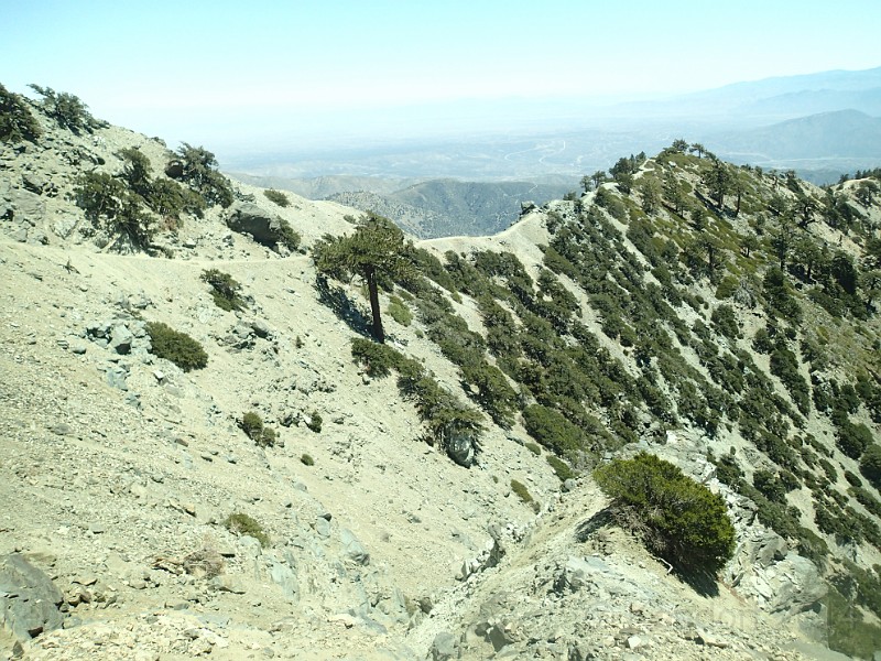 2014 Mt Baldy Cali 123.JPG - Summit Mt San Antonio (Mt Baldy) California
